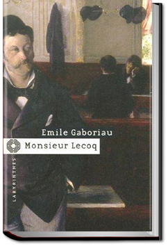 Monsieur Lecoq, Vol. 1: The Inquiry | Émile Gaboriau